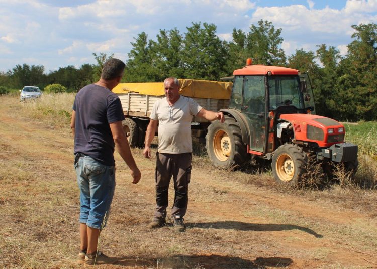 Strojno “trganje” u Čitluku: Zbog vremenskih prilika morali smo uraniti mjesec dana