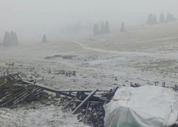 (VIDEO) Sladić o prvom snijegu u BiH i pahuljama koje su pale posljednjeg dana ljeta