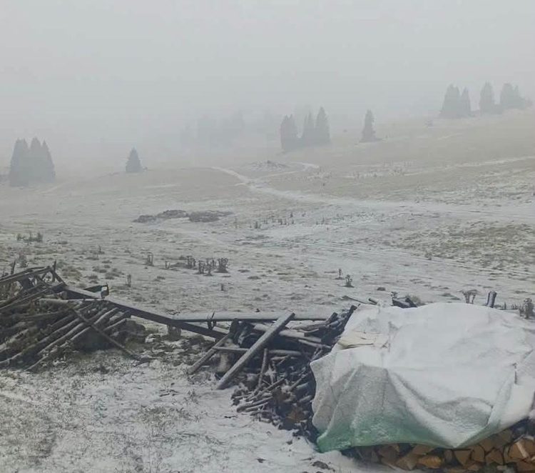 (VIDEO) Sladić o prvom snijegu u BiH i pahuljama koje su pale posljednjeg dana ljeta