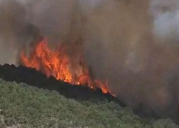 Veliki šumski požar u Hercegovini izvan kontrole, gašenje otežava nepristupačan teren