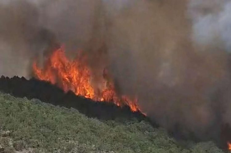 Veliki šumski požar u Hercegovini izvan kontrole, gašenje otežava nepristupačan teren