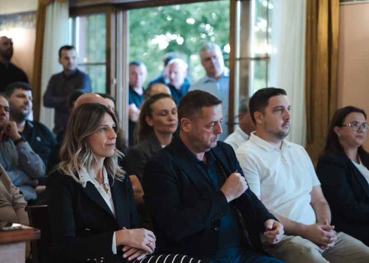 Masovni skupovi u Mokrom i Brigu – utvrde HDZ-a BiH i snaga koja traje