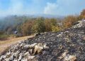 Dva požara na području Širokog Brijega