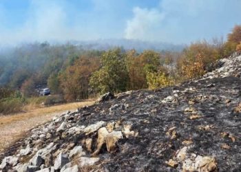 Dva požara na području Širokog Brijega