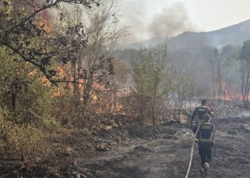 Veliki požar kod Ljubuškog: Vatra guta šumu i nisko raslinje, stiže Air Tractor