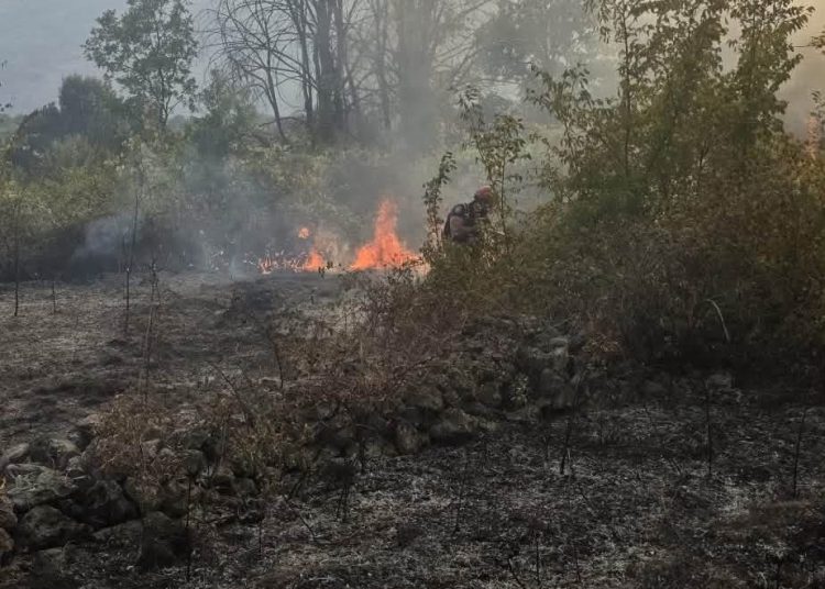 Veliki požar kod Ljubuškog: Vatra guta šumu i nisko raslinje, stiže Air Tractor