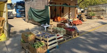 Vrućine i višak robe srušili cijene: Pogledajte koliko sada koštaju paprika i patlidžan na Veletržnici