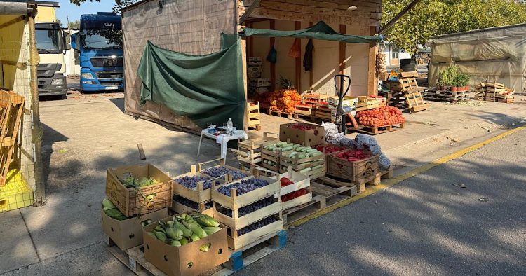 Vrućine i višak robe srušili cijene: Pogledajte koliko sada koštaju paprika i patlidžan na Veletržnici