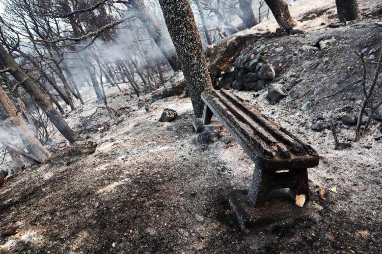 Požar izbio između kuća iznad Solina: 95 vatrogasaca spriječilo širenje vatre na objekte