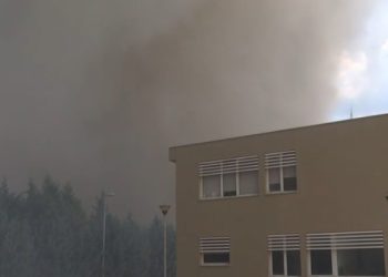 Uborak nakon požara: Što je pokazala analiza tla?