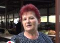 Počinje sezona zimnice, evo što kažu kupci o cijenama