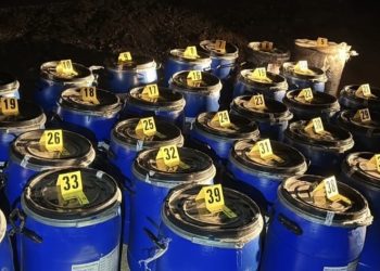 U akciji „Bure“ na području Sarajeva zaplijenjena droga vrijedna 5 milijuna eura