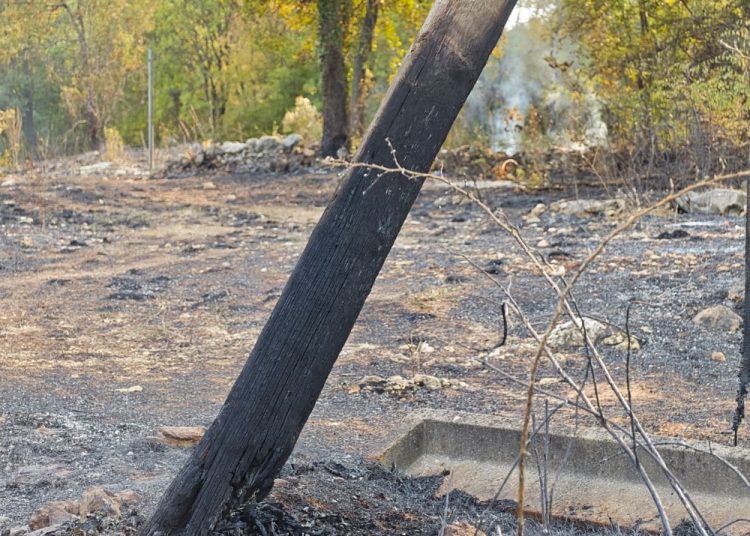 Ugašen veliki požar u Rasnu kod Širokog Brijega