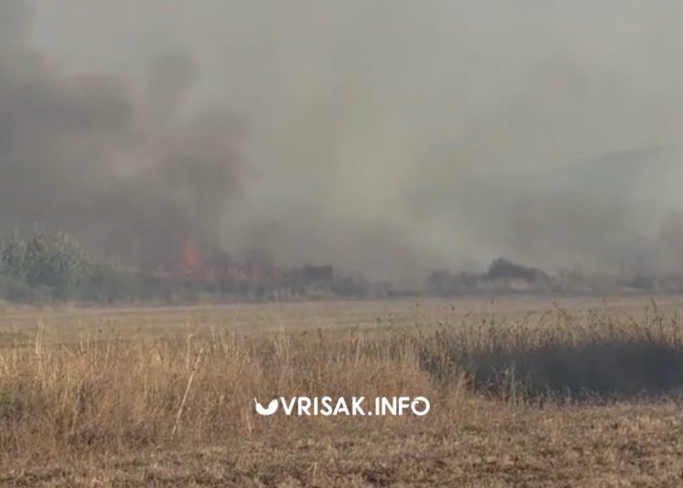 Požar kod Gruda: Vatra se približila kućama, podignuti Air Tractori