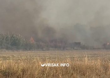 Požar kod Gruda: Vatra se približila kućama, podignuti Air Tractori