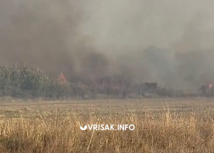 Požar kod Gruda: Vatra se približila kućama, podignuti Air Tractori