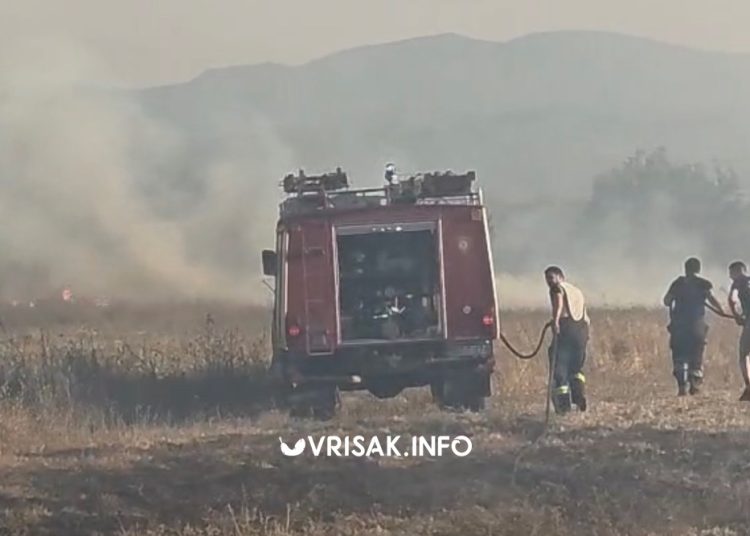 Požar kod Gruda: Vatra se približila kućama, podignuti Air Tractori