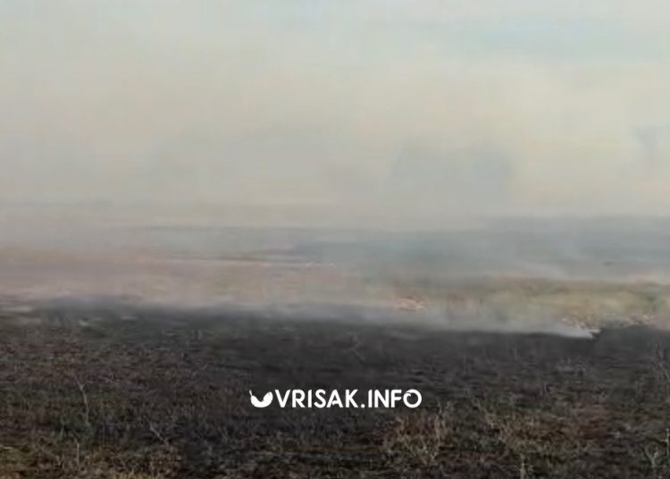 Požar kod Gruda: Vatra se približila kućama, podignuti Air Tractori