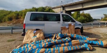 Granična policija BiH otkrila 41 stabljiku indijske konoplje