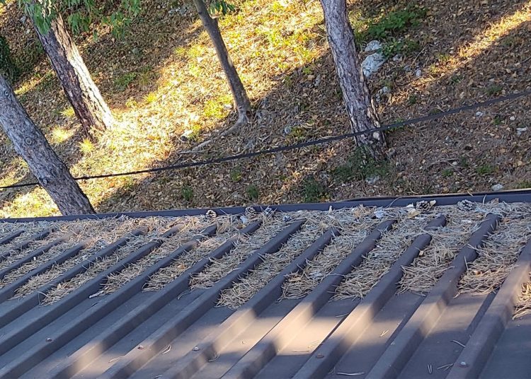 GSS čistio krov Doma zdravlja Široki Brijeg: Postavljeni solarni paneli vrijedni 45.000 KM