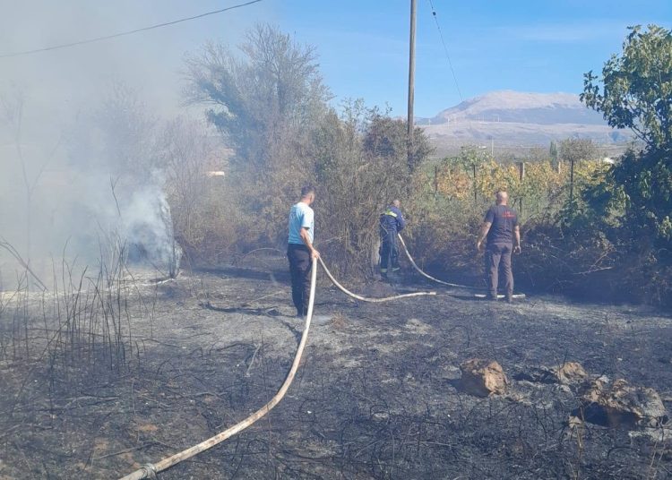 Požar u Ljutom Docu ugrozio stambene objekte: Interveniralo 10 vatrogasaca