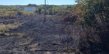 Požar u Ljutom Docu ugrozio stambene objekte: Interveniralo 10 vatrogasaca