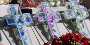 Bliži se blagdan Svih svetih: Evo kakve su cijene cvijeća