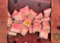 FUP objavio detalje akcije u Grudama: U kamionu pronađeno 100 kilograma marihuane