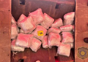 FUP objavio detalje akcije u Grudama: U kamionu pronađeno 100 kilograma marihuane