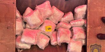 FUP objavio detalje akcije u Grudama: U kamionu pronađeno 100 kilograma marihuane