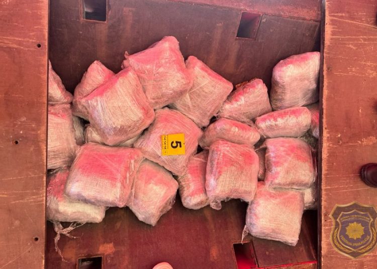FUP objavio detalje akcije u Grudama: U kamionu pronađeno 100 kilograma marihuane
