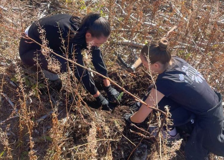 Posađeno 2.500 sadnica na Blidinju: Sudjelovale stotine volontera