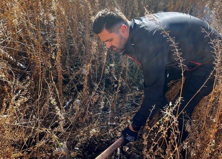 Posađeno 2.500 sadnica na Blidinju: Sudjelovale stotine volontera