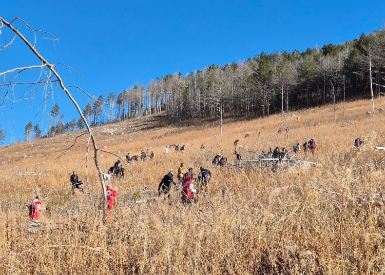 Posađeno 2.500 sadnica na Blidinju: Sudjelovale stotine volontera