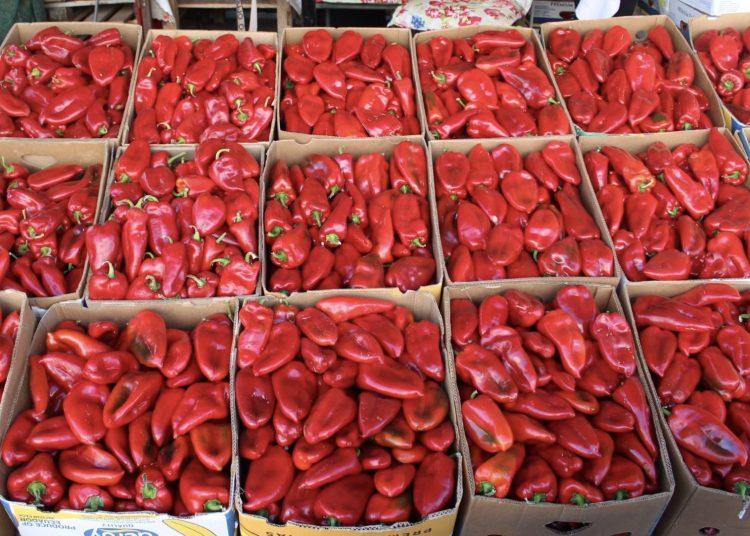 Čapljinska veletržnica pod opsadom kupaca: Paprike za ajvar naglo poskupjele
