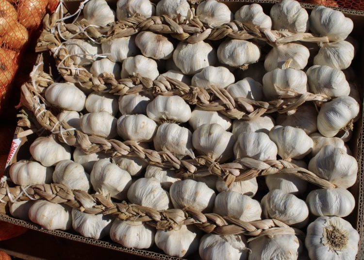 Čapljinska veletržnica pod opsadom kupaca: Paprike za ajvar naglo poskupjele