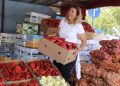 Čapljinska veletržnica pod opsadom kupaca: Paprike za ajvar naglo poskupjele