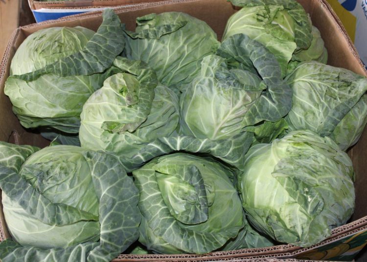 Čapljinska veletržnica pod opsadom kupaca: Paprike za ajvar naglo poskupjele