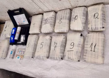 Vozač kamiona iz BiH uhićen na granici Turske i Bugarske, krijumčario 12 kg kokaina