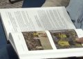 “Za selo se gine” – Priča o malom nogometu u Hercegovini