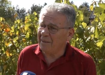 Vinogradarstvo u Tomislavgradu: Od ideje do uspjeha