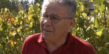 Vinogradarstvo u Tomislavgradu: Od ideje do uspjeha
