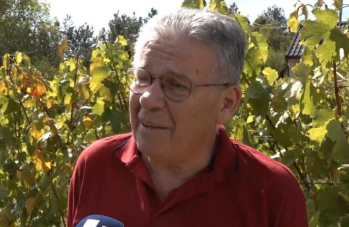 Vinogradarstvo u Tomislavgradu: Od ideje do uspjeha